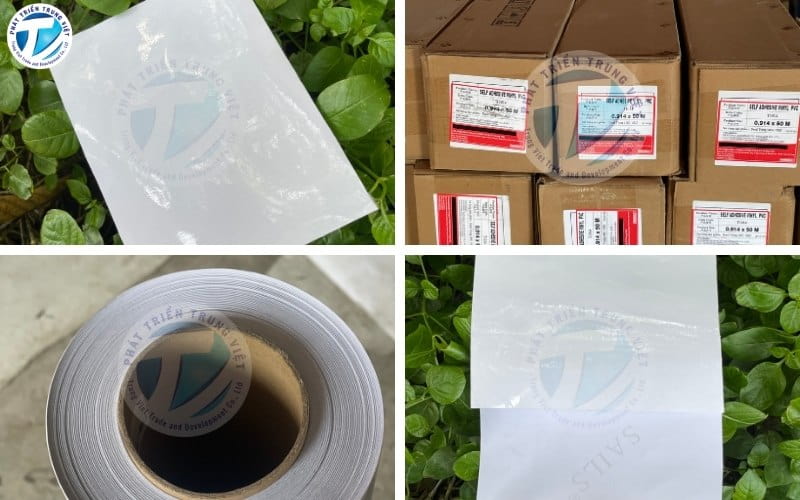 Mẫu decal trong eco